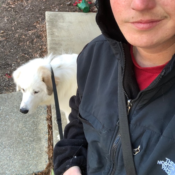 Meet your Posher, Alex - Picture 2 of 5